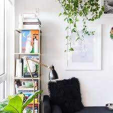 Tips for growing indoor vines: The Best Indoor Vining Plants Apartment Therapy