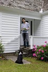 What Can I Put In My Dogs Yard To Replace The Grass That They Kill Backyard Grass Alternative Grass Alternative Dog Yard