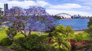 The royal botanic gardens and domain trust is the oldest scientific institution in australia. Best Parks Gardens In Sydney Picnic Walks More