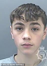 Meet the new ASBO Kids: The baby-faced members of 'Young and Deadly' gang  aged 13 to 17