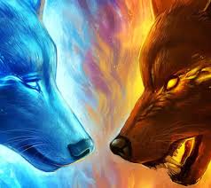 Bilder coole wolf hintergrundbilder : Blue Fire Wolf Epic Galaxy Wolf Wallpaper Novocom Top