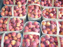 'florida king' peach is an excellent choice for home gardeners in the south. South Carolina Or Georgia Peaches Parkesdale Farm Market Blog