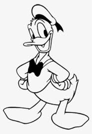 Kangaroos can not walk backwards. Duck Muscovy Duck Coloring Pages Png Image Transparent Png Free Download On Seekpng
