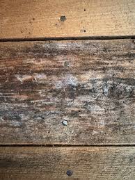Image result for site:byggahus.se wood tex