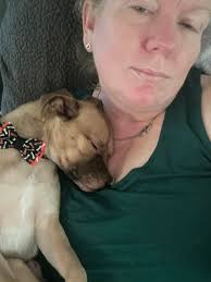 Can this dog get even closer🥰😁❤️? Any other dogs snuggle like this?