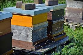 Maybe you would like to learn more about one of these? Top 10 Best Beehives For Beginners