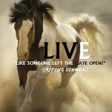 Instead, our system considers things like how recent a review is and if the reviewer bought the item on amazon. Live Like Someone Left The Gate Open Riding School Home Facebook