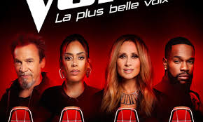 Photo The Voice (Émission)  TF1+ Belgique
