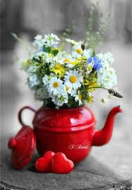 Maybe you would like to learn more about one of these? Cok Uzaklarda Bir Istanbul Masali Papatya Ya Asik Yakinda Olsada Erisilmez Uzaklarda Biri Iste Planting Flowers Beautiful Flowers Floral Arrangements