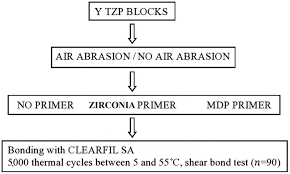 Effects Of Mdp Based Primers On Shear Bond Strength Between