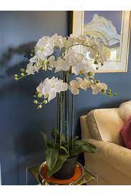 18w x 18d x 30h succulents are the perfect pairing with orchids. Artificial Orchid Arrangement 110cm Tall