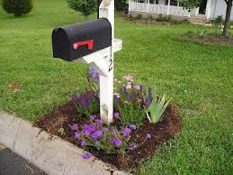Growing The Home Garden My Mailbox Garden Mailbox Garden Mailbox Landscaping Front Yard Landscaping Simple