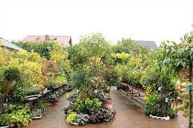 Hier finden sie eine auswahl an frei zugänglichen erklärvideos rund um das thema haus, hof, tier und garten. Gartenmarkt Teterower Gartenmarkt