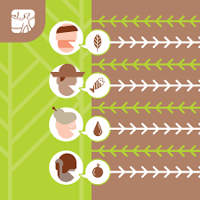 Patrimonio Genetico Isa Instituto Socioambiental