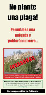 Start studying ipc unit 10 review. Don T Plant A Pest Southern California Spanish California Invasive Plant Council