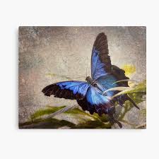 Un recurso que le da vida al. Decoracion Mariposa Ulises Redbubble