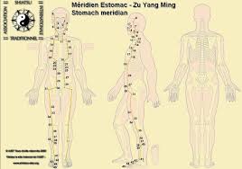 Les Points Et Meridiens Acupuncture Meridiens Principaux Acupuncture Medecine Chinoise Massage Shiatsu