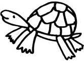Turtle coloring pages for kids. Turtles Coloring Pages