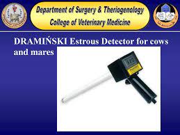 It enables users to detect an asymptomatic estrous period (silent heat). Estrus Detection Ppt Download