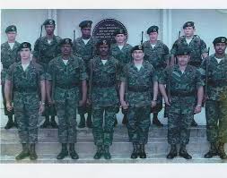 Image result for Green Striping 1942 Military