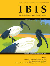 Eileen baral news, gossip, photos of eileen baral, biography, eileen baral boyfriend list 2016. Avian Migration And Movement Special Issue Ibis Vol 162 No 2