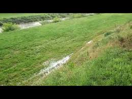 Some plant seeds can be shipped to you at home, while others can be picked up in store. Pirot 23 6 2020 Kej Napila Se Zemlja Vode Youtube