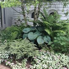When You Work In The Shade In The Garden It 39 S All About Wenn Sie Im Schatten Im Garten Arbeiten Dreht In 2020 Shade Garden Shade Garden Plants Shade Plants