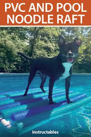 A Dog Pool Floats Dog Pool Dog Pool Ramp