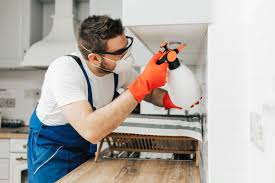 We provide service in southwest florida. Home Paramount Pest Control Review 2021 This Old House