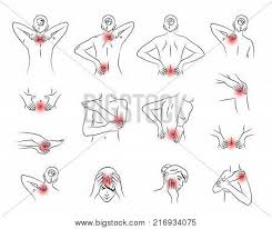 Women often paint this part of. Pain Vector Set Vector Photo Free Trial Bigstock