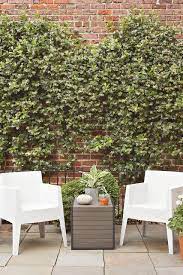 How To Clean Mold Off Every Type Of Outdoor Furniture Outdoor Outdoor Furniture Cleaning