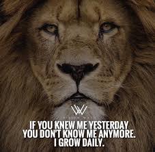 If You Don T Change Daily You Don T Grow Warrior Quotes Lion Quotes Lioness Quotes