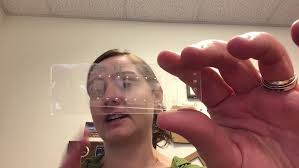 MSC 30 Seconds of STEM Ep 15: Dr. Stephanie McCalla