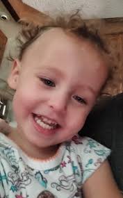 Baby's first year after nicu journey