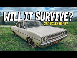 Image result for Deep Burnt Orange 1970 Satellite