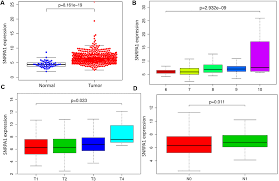 Please understand that our pho. Aging Identification Of Rna Binding Protein Snrpa1 For Prognosis In Prostate Cancer Full Text