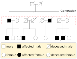 Genetics Wikipedia