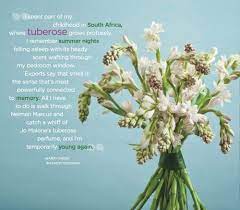 Pin On Flower Quotes