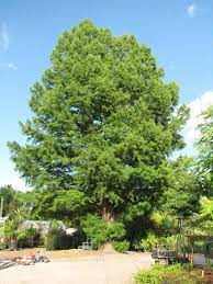 Its current status is listed as active. Uber Uns Auerbach S Garten