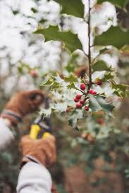 Epingle Sur Country Living