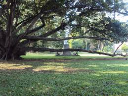Visitors are attracted because of its floral gardens, fountains and playgrounds. Colombo Viharamahadevi Park Mapio Net