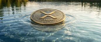 xrp 레저