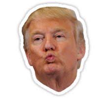 Pin On Stickers And Such