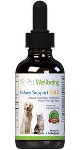 Check spelling or type a new query. Everything You Wanted To Know About Kidney Disease In Dogs