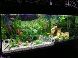 3 use driftwood for a natural touch. Aquarium Decoration Ideas For Android Apk Download