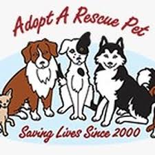 Adoption counseling is done via email and phone to ensure the right fit. Adopt A Rescue Pet Animal Shelters 1631 W Craig Rd North Las Vegas Nv Phone Number Yelp