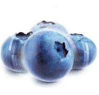 Blueberry Sorting Machines, Grading and Processing Equipment