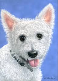 Classic Pet Portraits