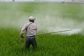 Toxicological studies are conducted to determine the threshold limit of a chemical which an animal or human is capable of handling without significant biological effects. Difference Between Biological Control And Chemical Control Compare The Difference Between Similar Terms