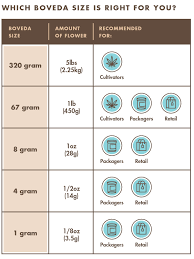 ball mason jar sizes chart 2019